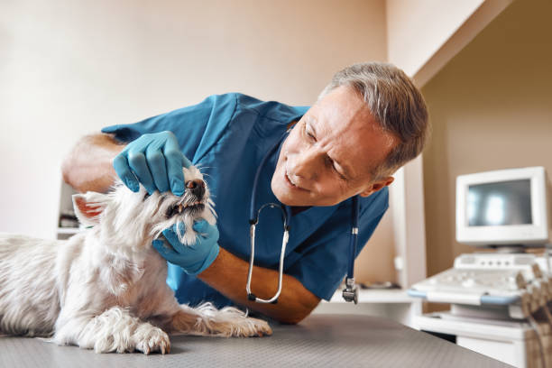Best Urgent Dental Care in Laguna Vista, TX